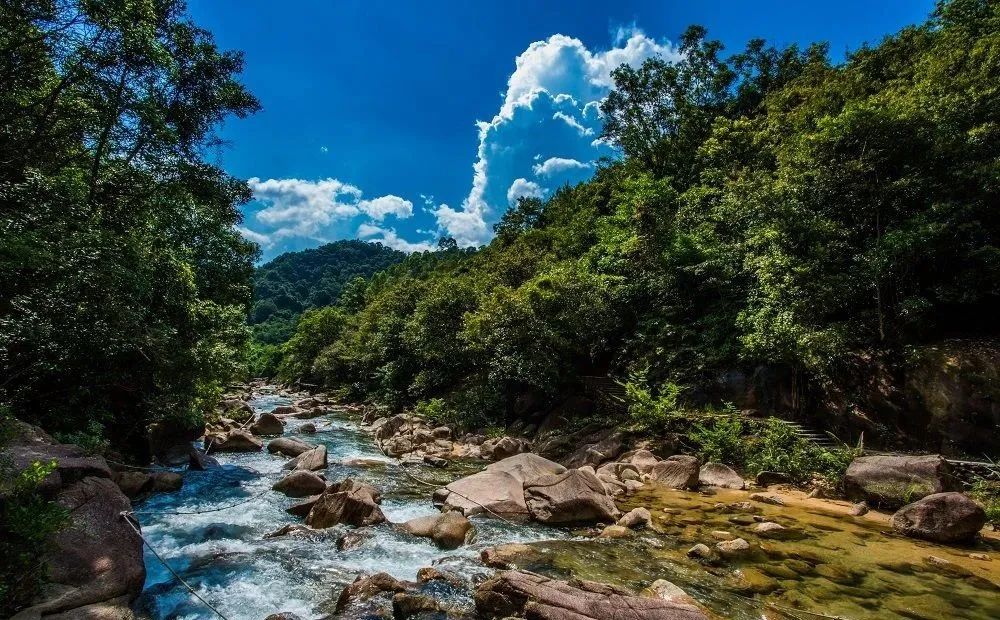 荔湖公园春日游玩攻略_广州哪里适合郊游踏青_广州增城区踏青景点