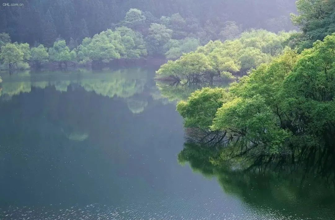 广州增城区踏青景点_广州哪里适合郊游踏青_荔湖公园春日游玩攻略