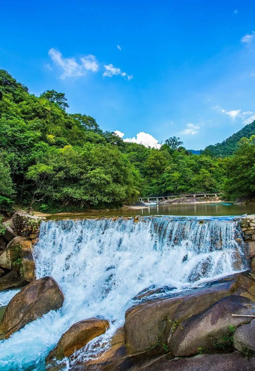 广州哪里适合郊游踏青_荔湖公园春日游玩攻略_广州增城区踏青景点