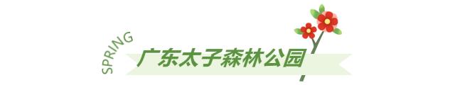 荔湖公园春日游玩攻略_广州增城区踏青景点_广州哪里适合郊游踏青