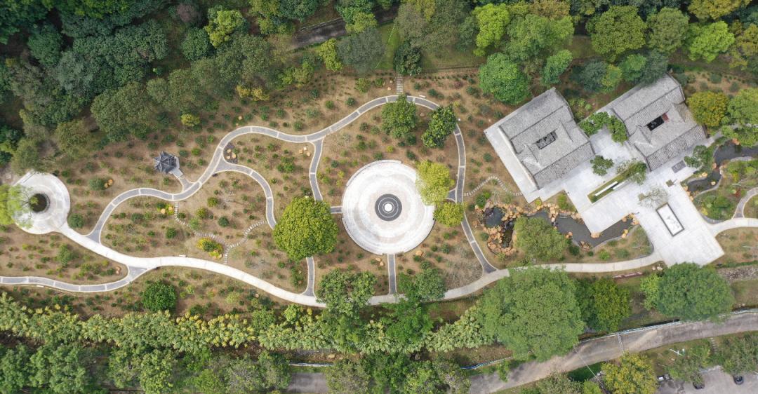 广州哪里适合郊游踏青_荔湖公园春日游玩攻略_广州增城区踏青景点