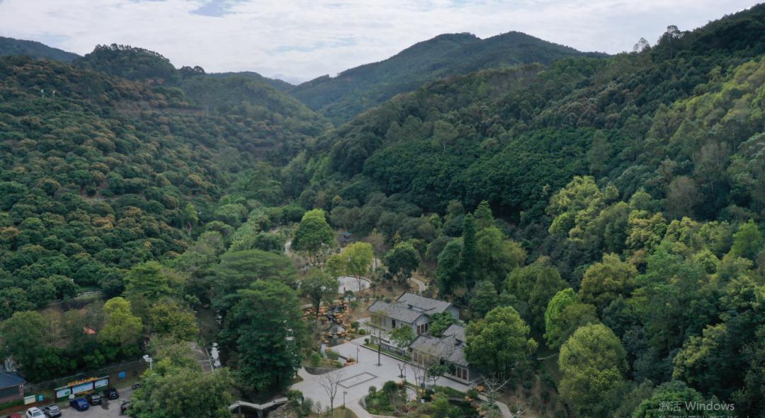 广州哪里适合郊游踏青_广州增城区踏青景点_荔湖公园春日游玩攻略