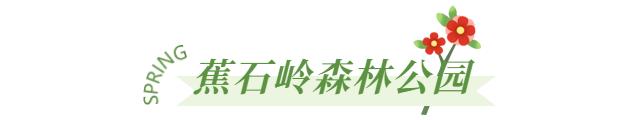广州增城区踏青景点_广州哪里适合郊游踏青_荔湖公园春日游玩攻略