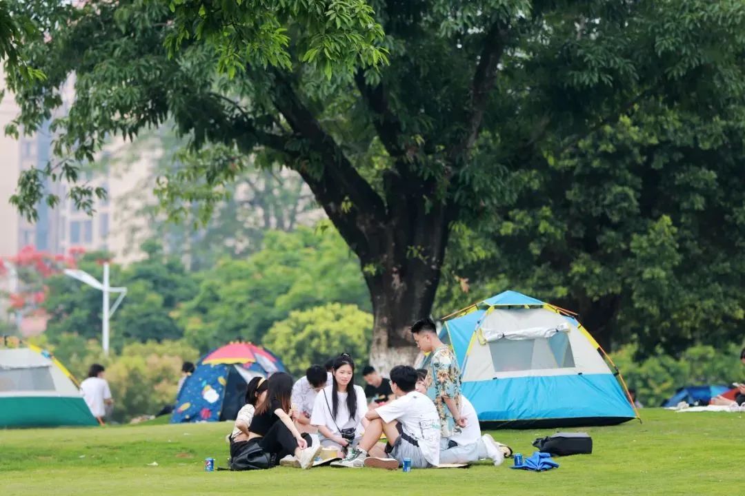 广州增城区踏青景点_广州哪里适合郊游踏青_荔湖公园春日游玩攻略