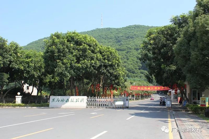 广州哪里适合郊游踏青_广州增城区踏青景点_荔湖公园春日游玩攻略