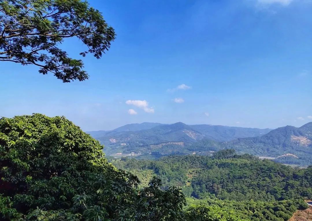 广州增城区踏青景点_荔湖公园春日游玩攻略_广州哪里适合郊游踏青