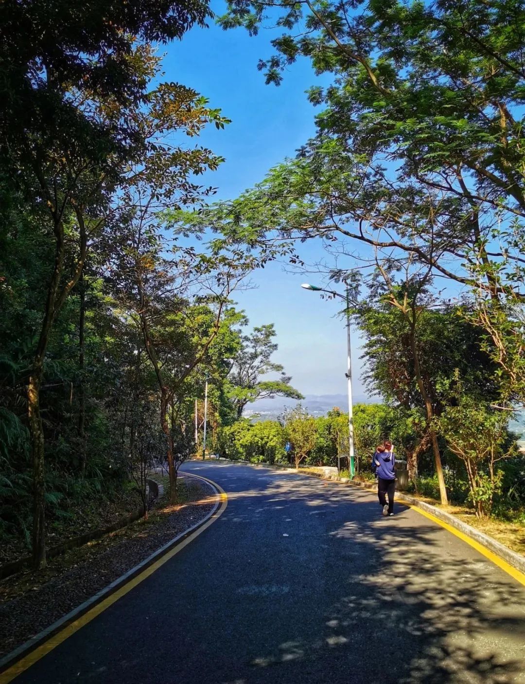 广州增城区踏青景点_荔湖公园春日游玩攻略_广州哪里适合郊游踏青