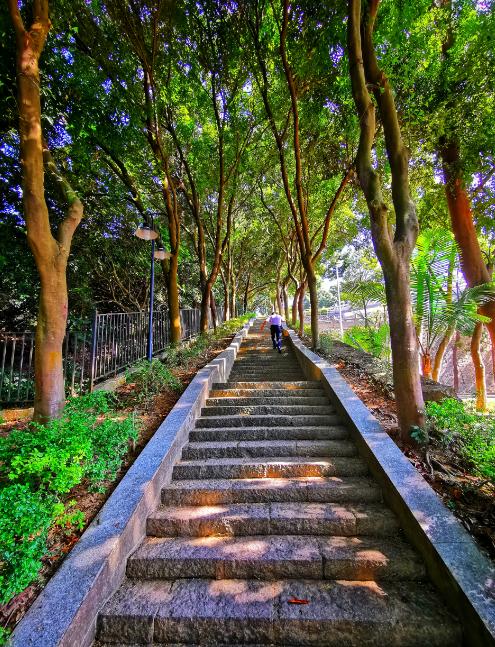 荔湖公园春日游玩攻略_广州增城区踏青景点_广州哪里适合郊游踏青