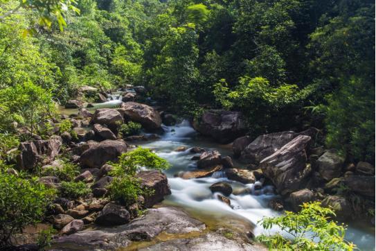 荔湖公园春日游玩攻略_广州增城区踏青景点_广州哪里适合郊游踏青