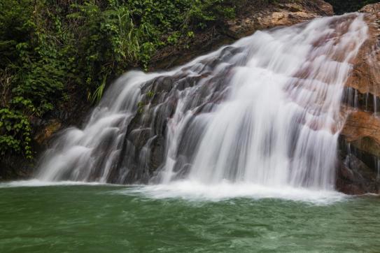 广州哪里适合郊游踏青_广州增城区踏青景点_荔湖公园春日游玩攻略