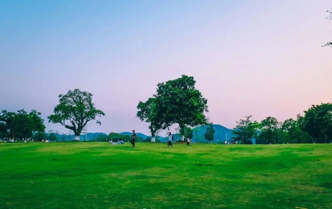 荔湖公园春日游玩攻略_广州哪里适合郊游踏青_广州增城区踏青景点