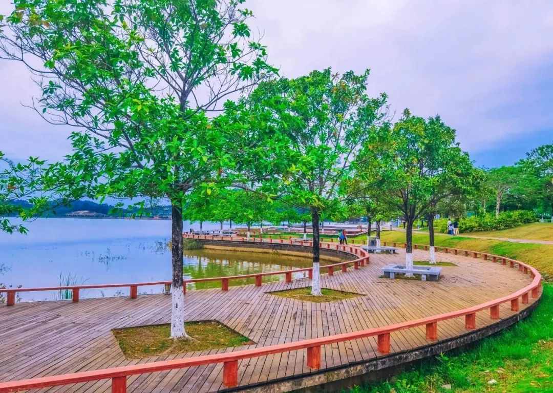 广州哪里适合郊游踏青_广州增城区踏青景点_荔湖公园春日游玩攻略