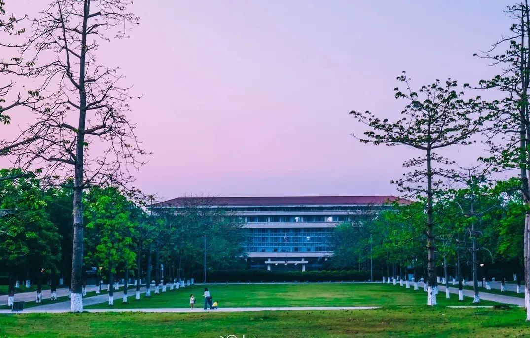 广州增城区踏青景点_荔湖公园春日游玩攻略_广州哪里适合郊游踏青