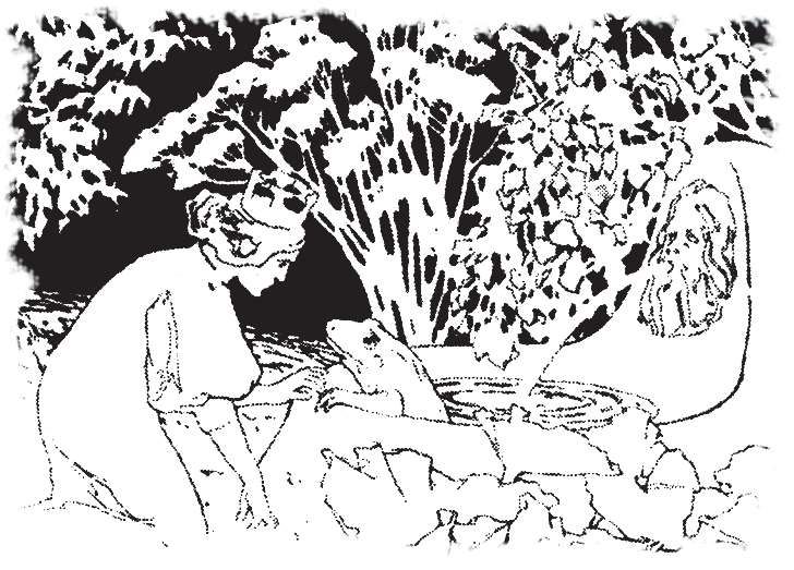 “青蛙找你做什么呢？”