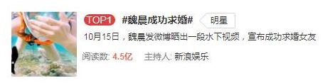 33岁的魏晨“高调”水下求婚成功！网友直呼浪漫又别致