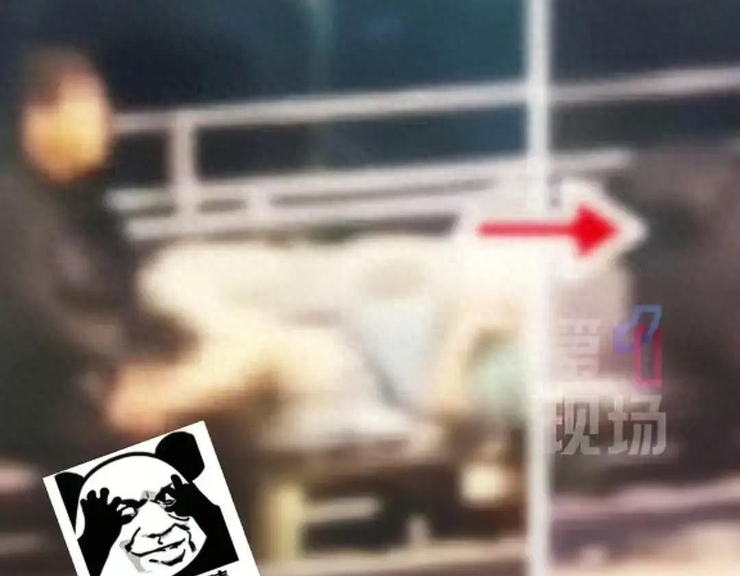 六旬男女认罪，码头行为出格，七年后果到底多大？