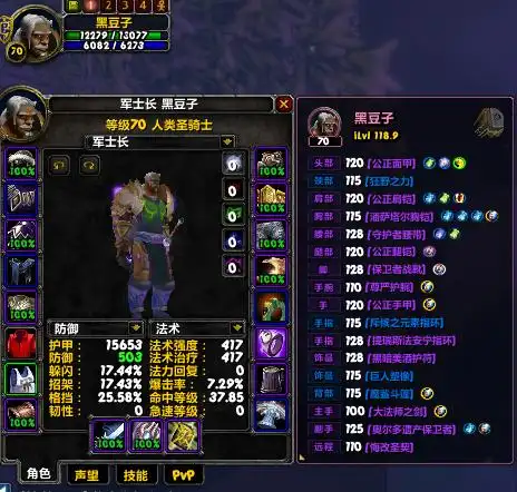 7.0防骑宏_防骑法伤配装优缺点分析_魔兽世界TBC怀旧服P2阶段配装方案