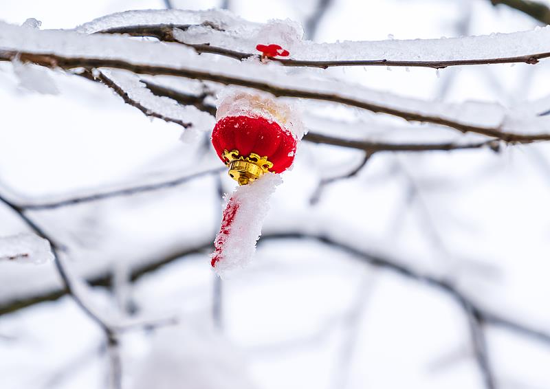 各地特色年俗旅游项目_最惠玩官网_春节文旅消费月活动