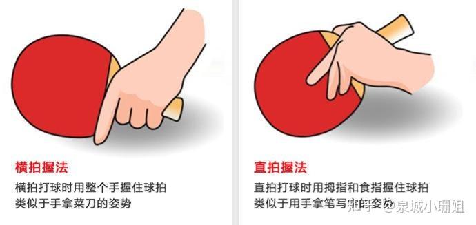 乒乓球游戏规则_初学者如何选乒乓球拍_乒乓球拍选择指南