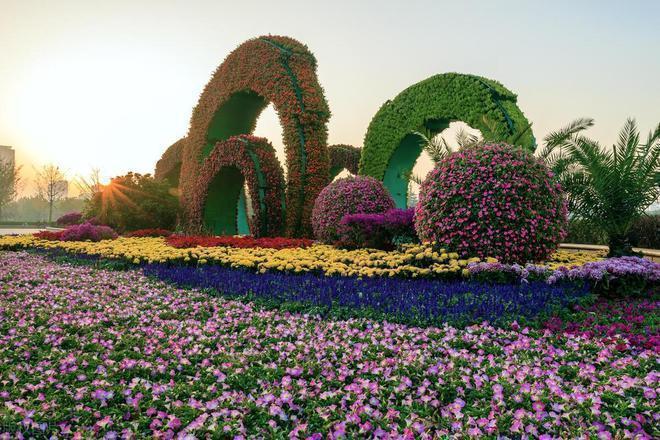 养小猫_养老与宠物冲突_老人与女婿矛盾