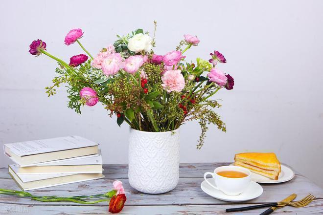 老人与女婿矛盾_养小猫_养老与宠物冲突