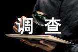 最新小学生压岁钱调查报告