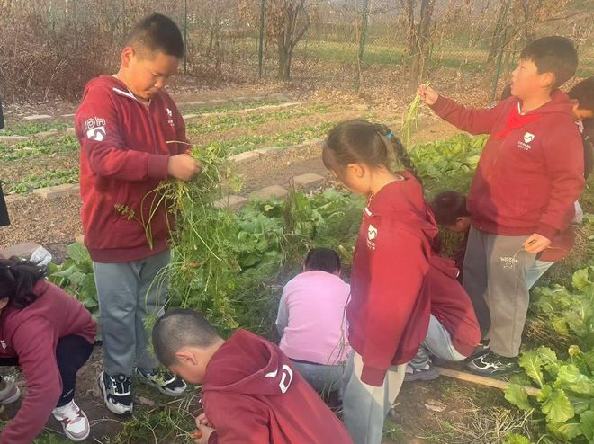 课间游戏设计_创意课间活动_华容道游戏规则