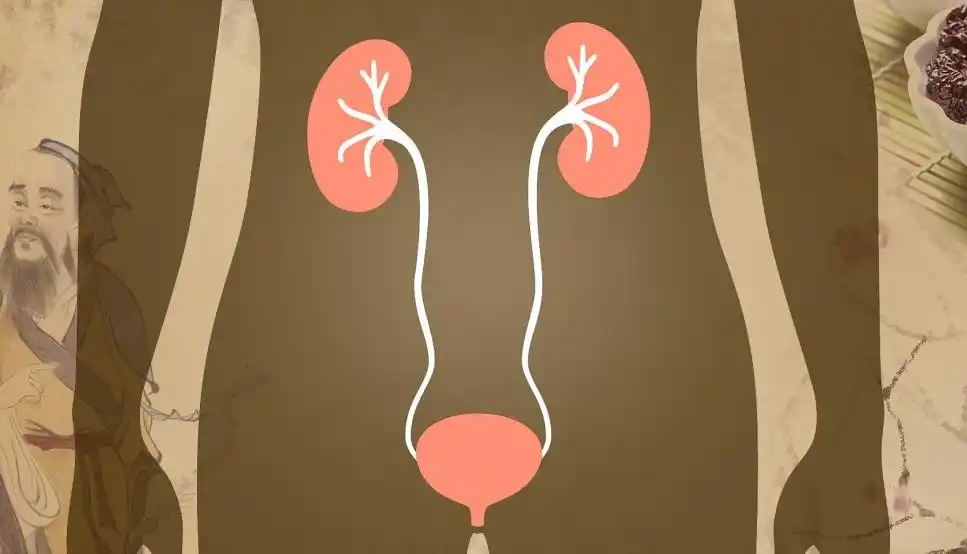 活人能被尿憋死？经常憋尿的危害你想象不到