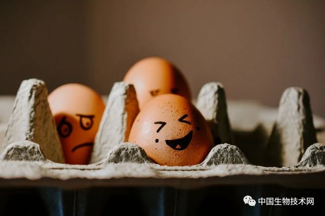 情商越高，抑郁风险越低？“情商”到底是什么？科学家们如是说…