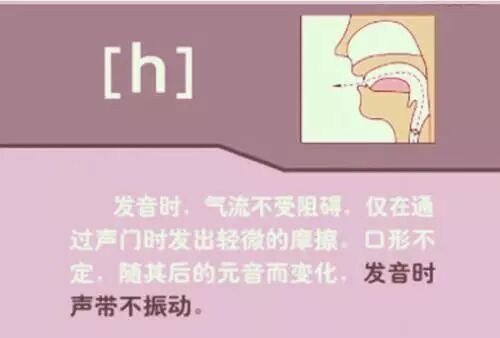 26个字母书写规范_字母笔顺规则_26个字母