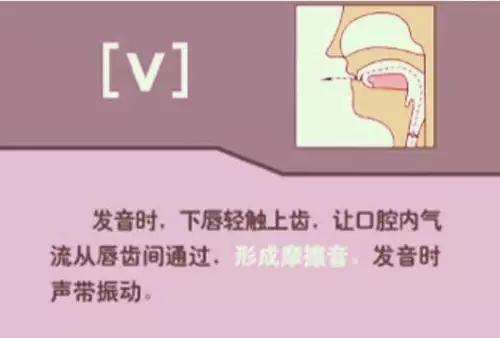 26个字母书写规范_26个字母_字母笔顺规则