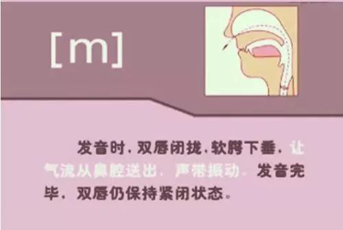 26个字母书写规范_26个字母_字母笔顺规则