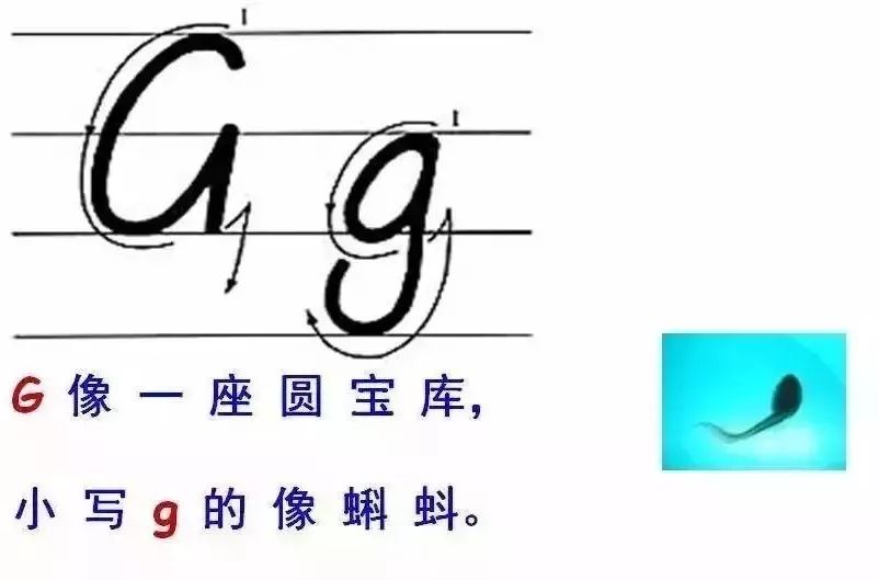 26个英文字母书写规范_26个字母_26个字母发音歌谣
