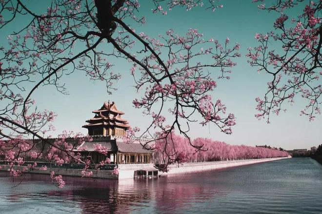 人生哲理_健康养生_经一事，长一智