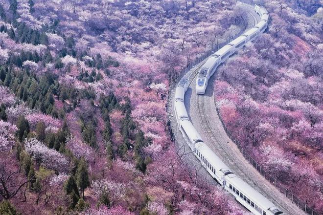 人生哲理_经一事，长一智_健康养生