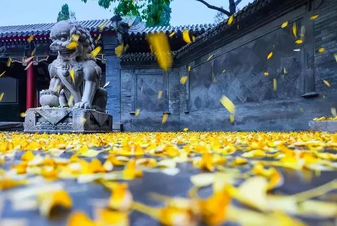 健康养生_经一事，长一智_人生哲理