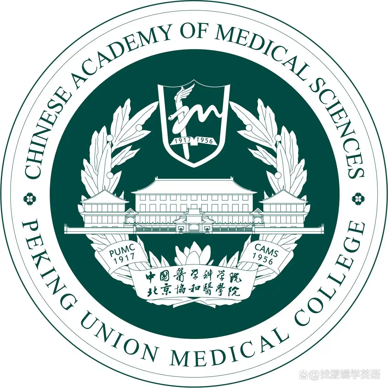 dragon的音标是什么_chinese dragon vs loong dictionary definition_english translation of chinese dragon