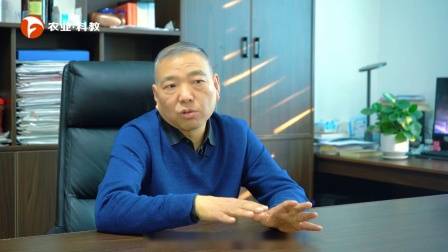 深圳直通车发布深圳电视台播出——广东天地和实业控股集团有限公司