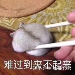写文章能赚钱吗？写好了文章想投稿应该投哪里？
