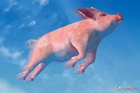 狼人杀游戏起源_狼人杀发展历程_饭局狼人杀游戏规则