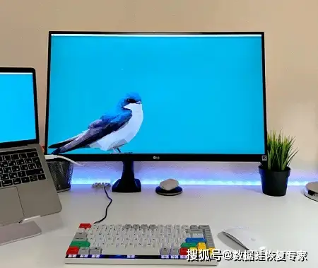 电脑上的扩展名怎么显示出来_显示文件后缀名 Windows 11_显示文件后缀名 Windows 10