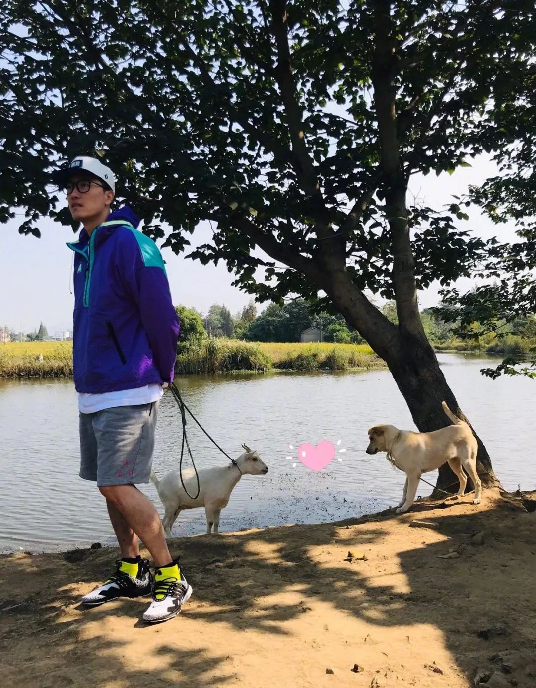 刘翔两届奥运退赛，12年后恩师孙海平述个中辛酸