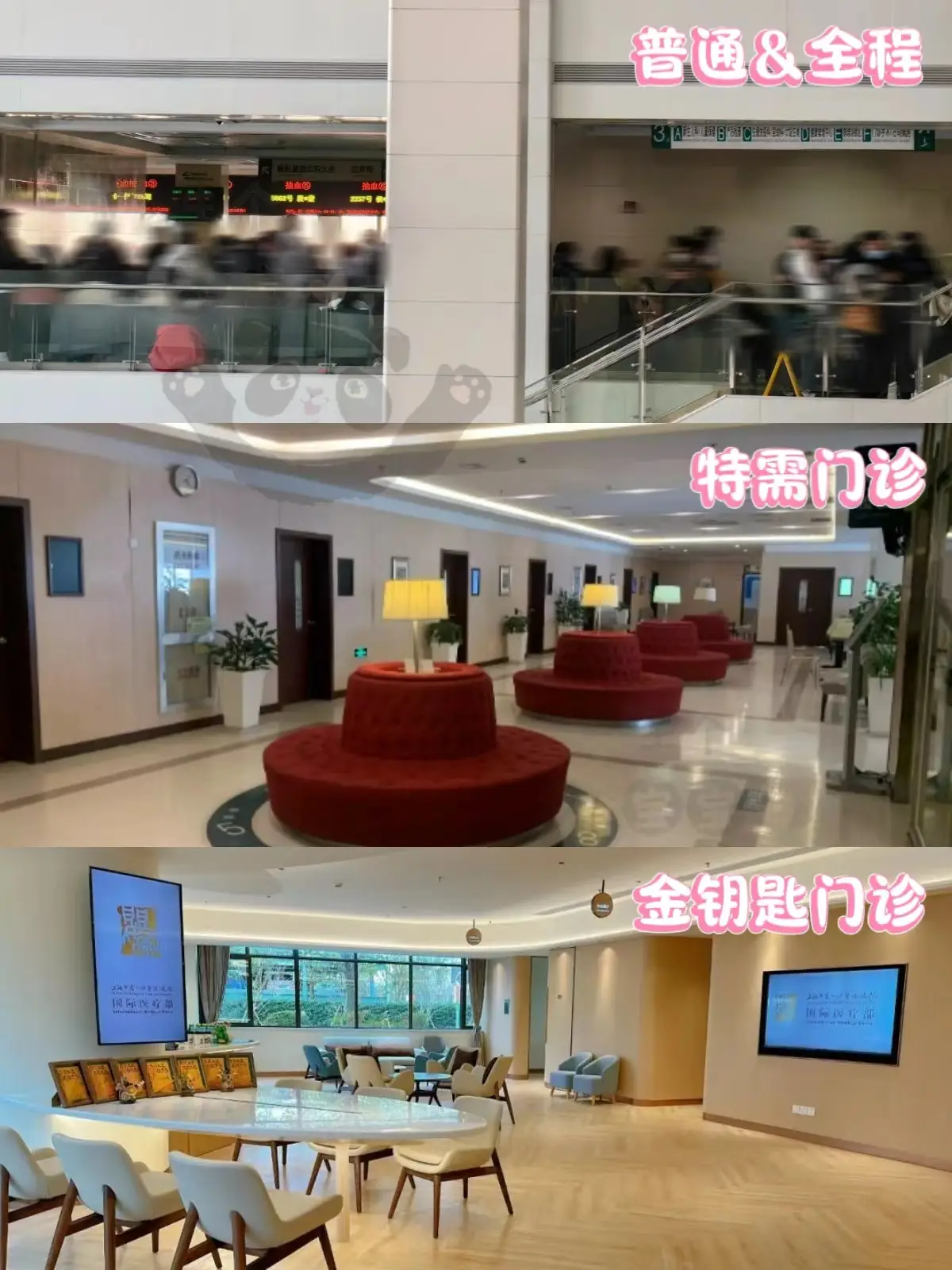 上海一妇婴东院四类门诊如何预约建大卡？普通门诊、全程门诊、特需门诊、金钥匙门诊对比分析