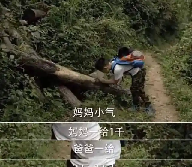 豪门梦碎王艳重生？揭秘隐情！