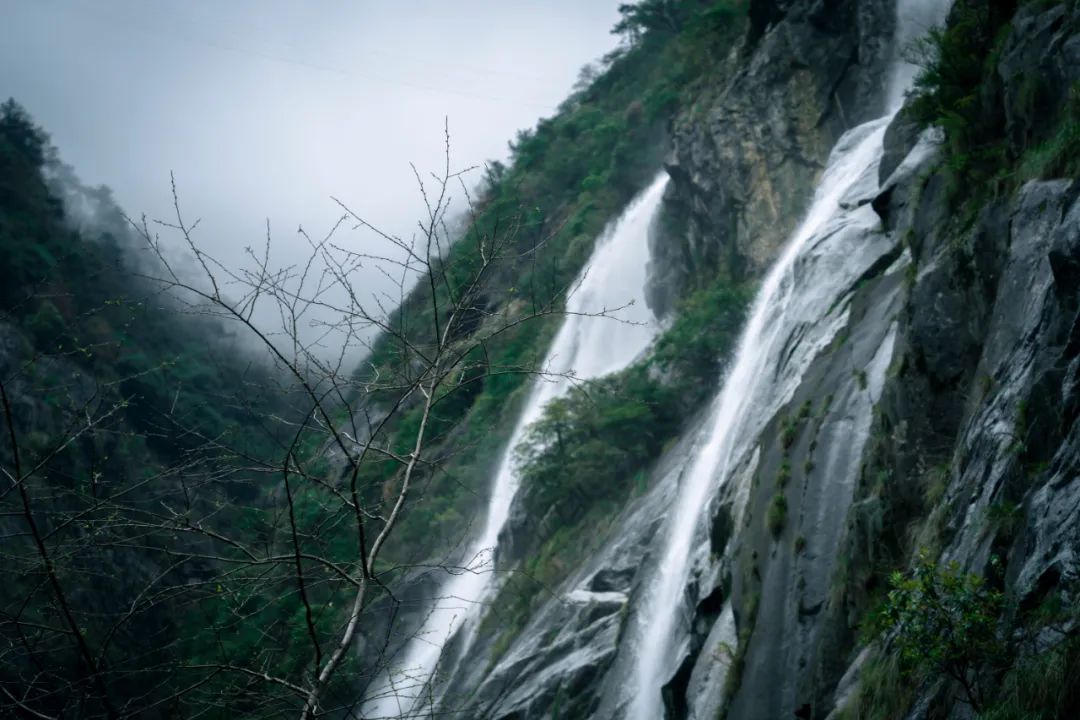吃西瓜大赛规则_吃西瓜比赛游戏规则_趣味吃西瓜比赛规则