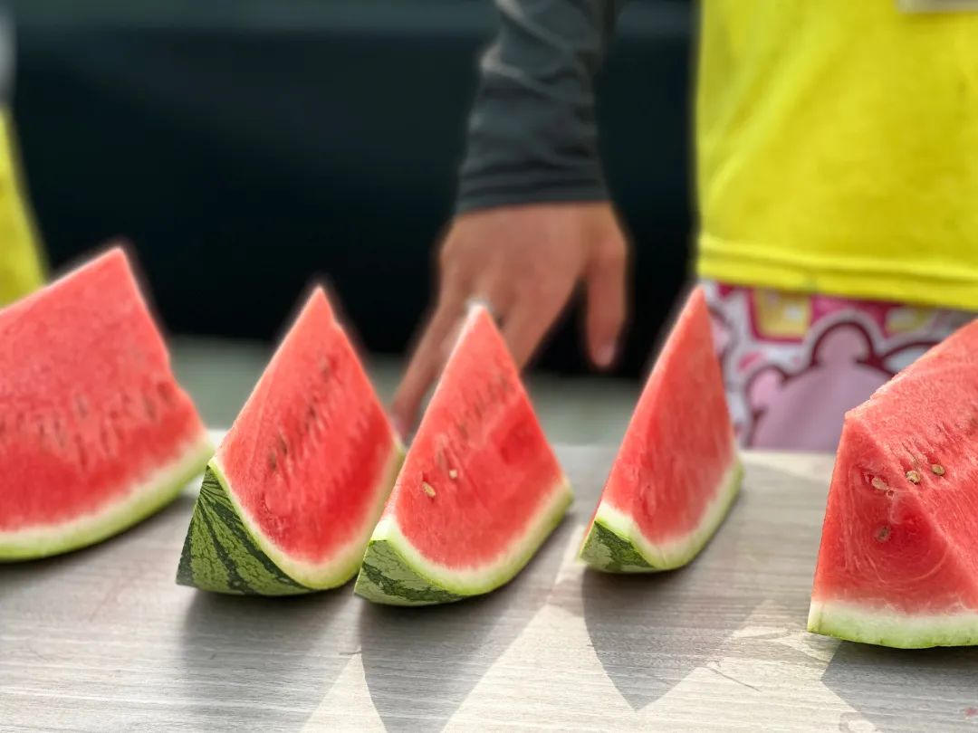 丽紫欢乐水世界吃瓜挑战赛_夏日沙滩滚瓜大战游戏规则_吃西瓜比赛游戏规则