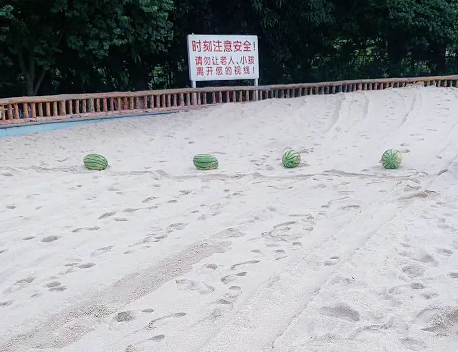 夏日沙滩滚瓜大战游戏规则_丽紫欢乐水世界吃瓜挑战赛_吃西瓜比赛游戏规则