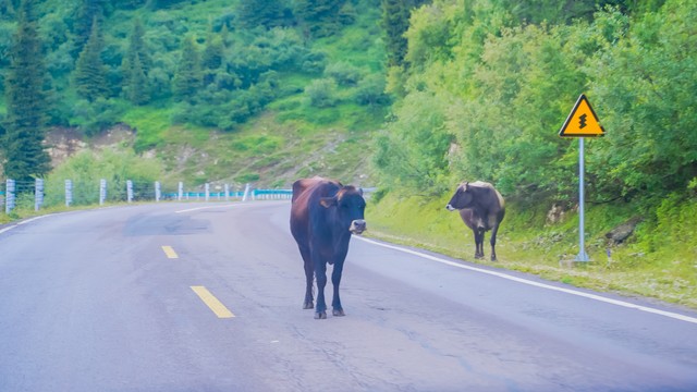 18句步步高升的唯美句子，激励你追逐梦想，勇往直前