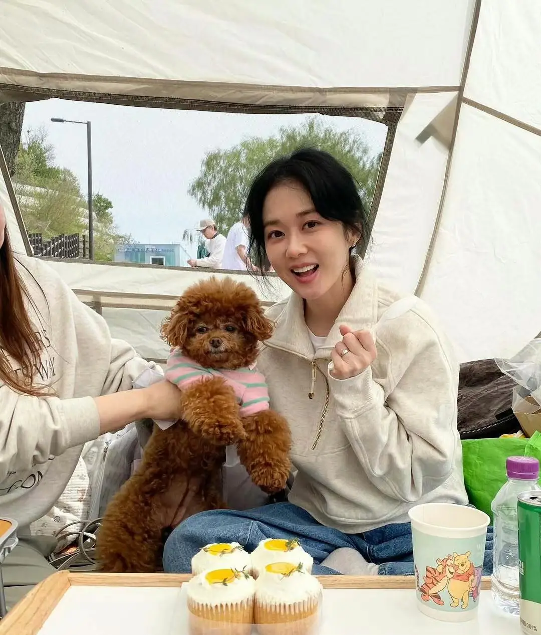 遭遇抵制的韩国艺人，圈钱，立场问题，言论争议…没一个无辜的