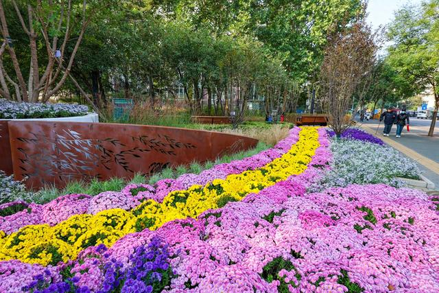 北京东二环边添一处全龄友好公园，与滨水步道形成环线